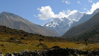 Долина Лангтанг | Непальские Гималаи