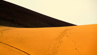 Пустыня Ика (Ica) | Барханы