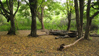 Стоянка у оленьего пруда. Карадагский лес
