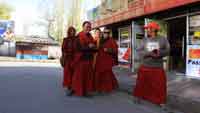 Новые ладакские монахи